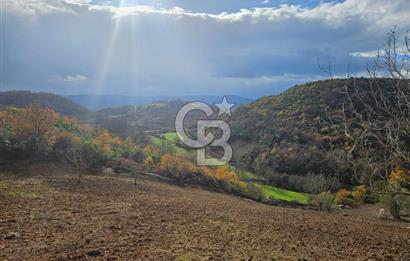 YALOVA ÇİFTLKKÖY DENİZÇALI KÖYÜNDE SATILIK 5239 M2 TARLA !