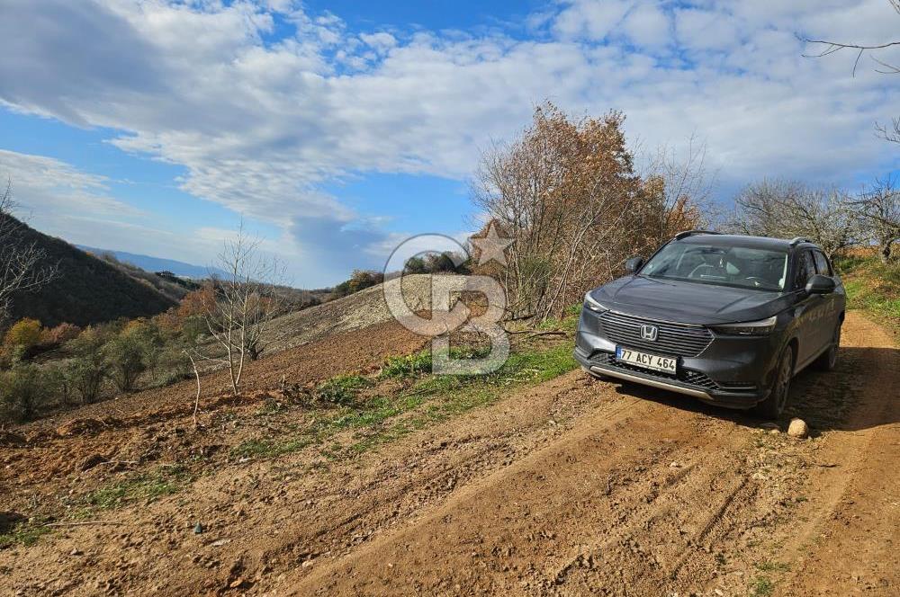 YALOVA ÇİFTLKKÖY DENİZÇALI KÖYÜNDE SATILIK 5239 M2 TARLA !