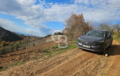 YALOVA ÇİFTLKKÖY DENİZÇALI KÖYÜNDE SATILIK 5239 M2 TARLA !