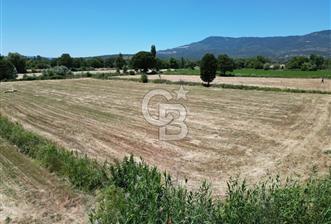 İzmir Bergama Kozak Yaylasında 8.300m2 Tek Tapu Satılık Arazi