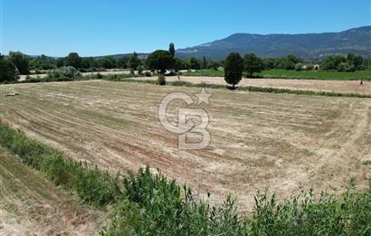İzmir Bergama Kozak Yaylasında 8.300m2 Tek Tapu Satılık Arazi