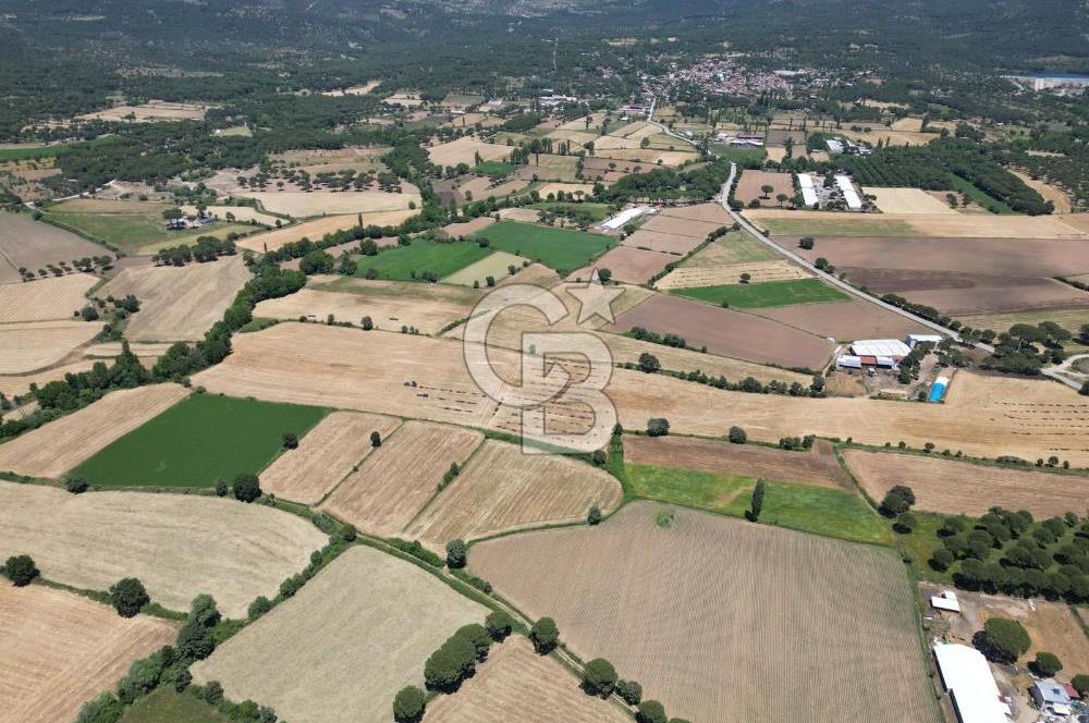 İzmir Bergama Kozak Yaylasında 8.300m2 Tek Tapu Satılık Arazi