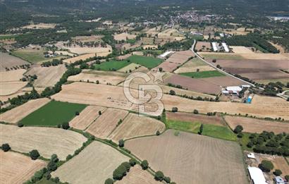 İzmir Bergama Kozak Yaylasında 8.300m2 Tek Tapu Satılık Arazi