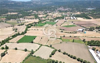 İzmir Bergama Kozak Yaylasında 8.300m2 Tek Tapu Satılık Arazi