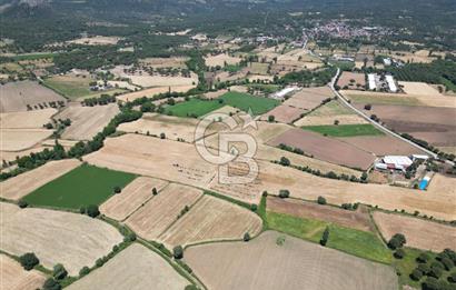 İzmir Bergama Kozak Yaylasında 8.300m2 Tek Tapu Satılık Arazi