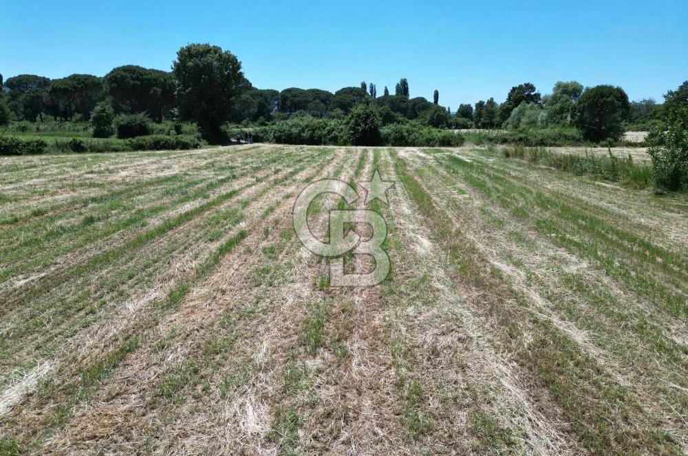 İzmir Bergama Kozak Yaylasında 8.300m2 Tek Tapu Satılık Arazi