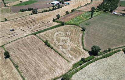 İzmir Bergama Kozak Yaylasında 8.300m2 Tek Tapu Satılık Arazi