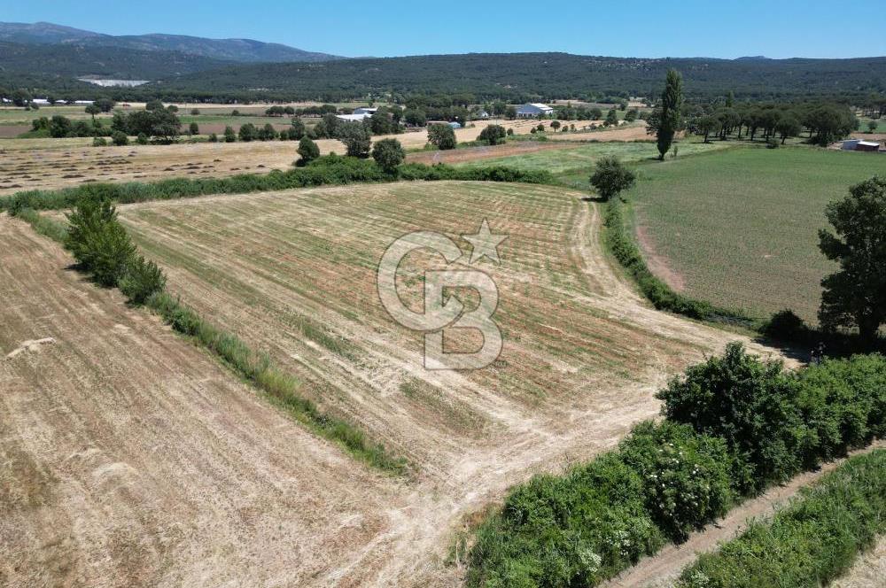 İzmir Bergama Kozak Yaylasında 8.300m2 Tek Tapu Satılık Arazi