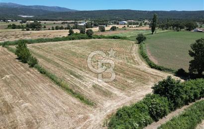 İzmir Bergama Kozak Yaylasında 8.300m2 Tek Tapu Satılık Arazi