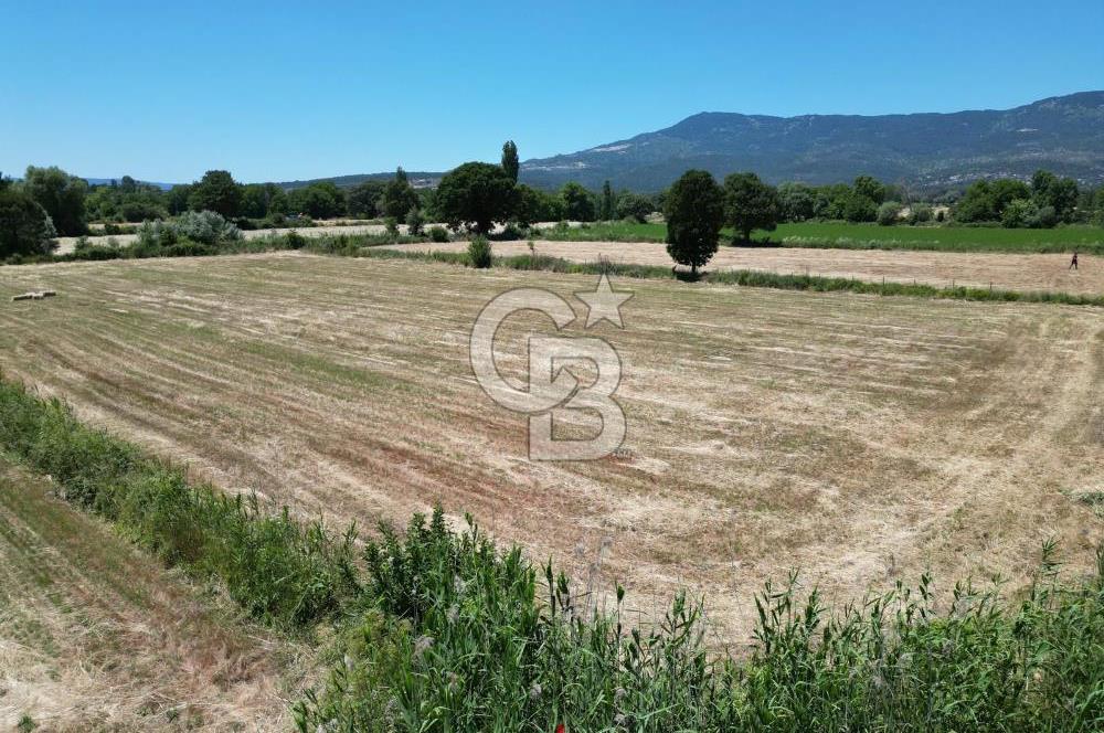 İzmir Bergama Kozak Yaylasında 8.300m2 Tek Tapu Satılık Arazi