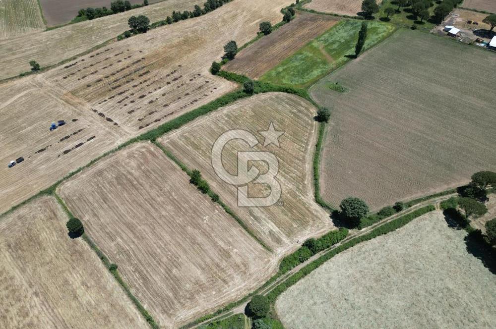 İzmir Bergama Kozak Yaylasında 8.300m2 Tek Tapu Satılık Arazi