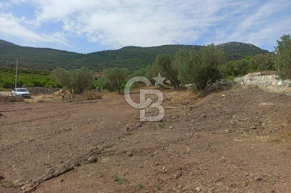 Kavakdere'de Asfalt Yol Kenarında Satılık Arsa(5 nolu parsel)