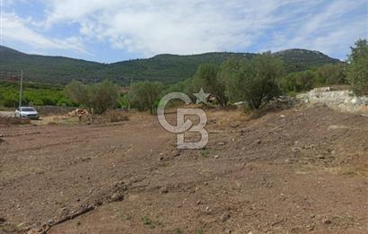 Kavakdere'de Asfalt Yol Kenarında Satılık Arsa(5 nolu parsel)