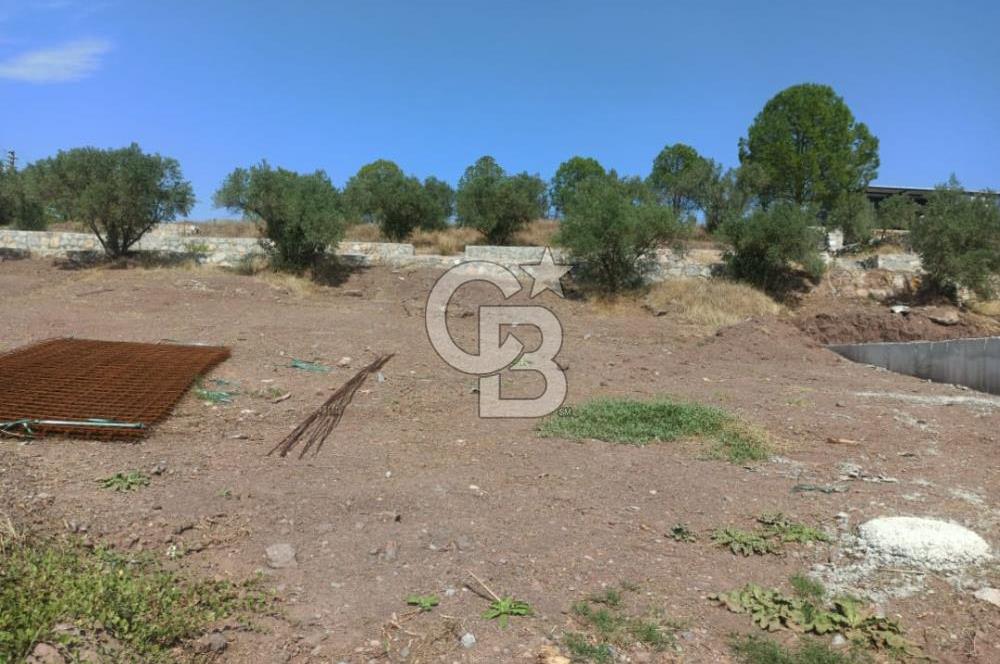 Kavakdere'de Asfalt Yol Kenarında Satılık Arsa(5 nolu parsel)