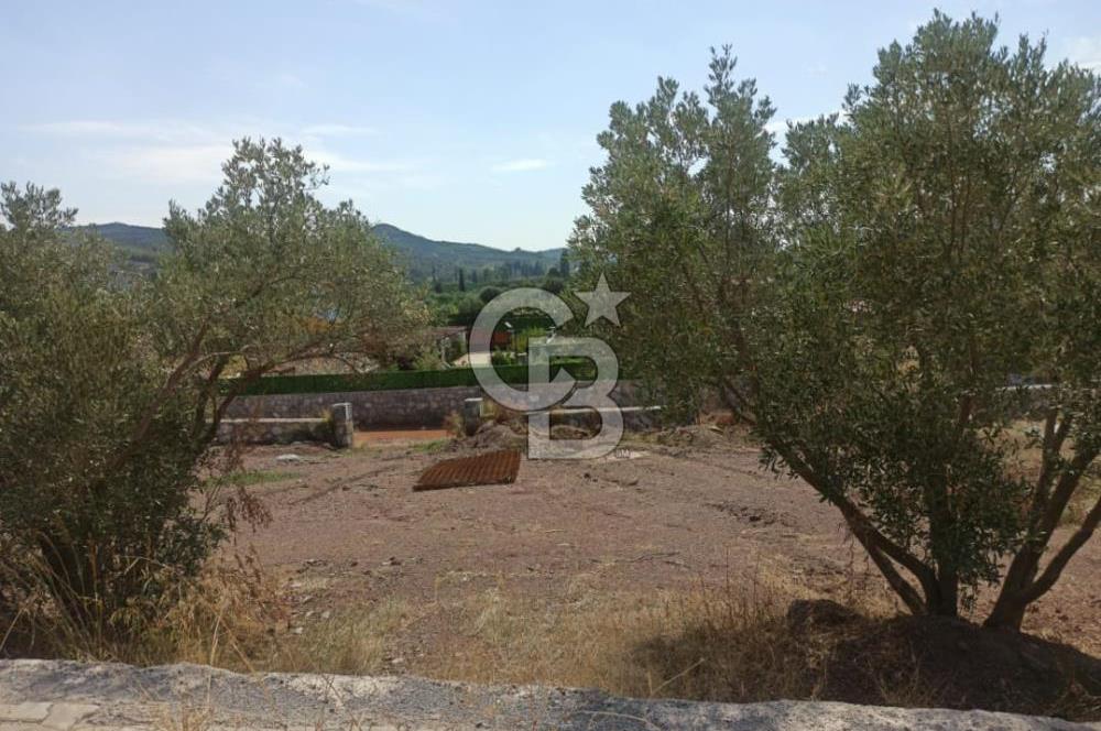 Kavakdere'de Asfalt Yol Kenarında Satılık Arsa(5 nolu parsel)