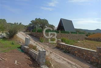 Kavakdere'de Asfalt Yol Kenarında Satılık Arsa(5 nolu parsel) - 9 - 250357