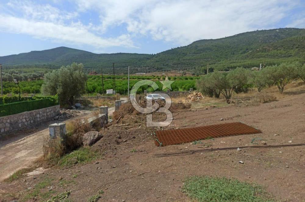 Kavakdere'de Asfalt Yol Kenarında Satılık Arsa(5 nolu parsel)