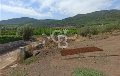 Kavakdere'de Asfalt Yol Kenarında Satılık Arsa(5 nolu parsel)
