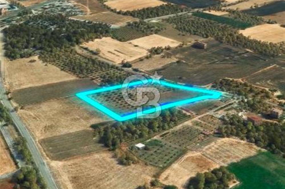Aliağa helvacı köyü değerli Arazi