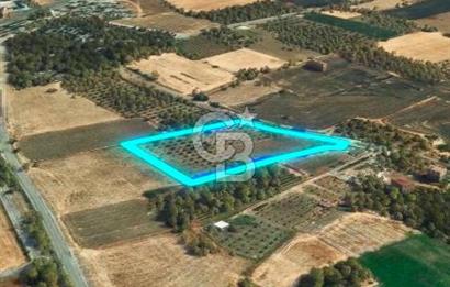 Aliağa helvacı köyü değerli Arazi