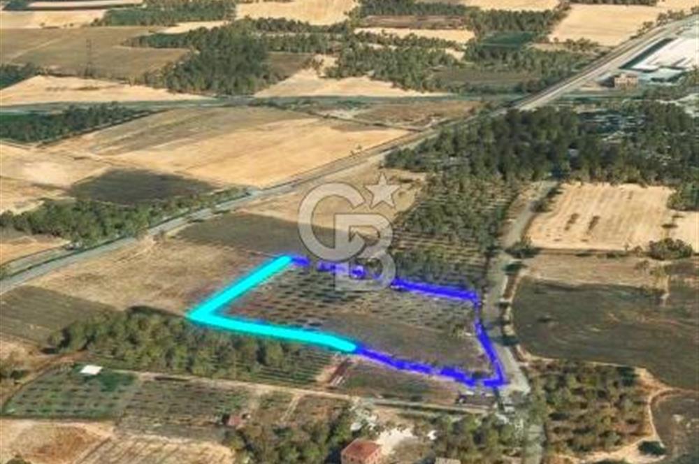 Aliağa helvacı köyü değerli Arazi