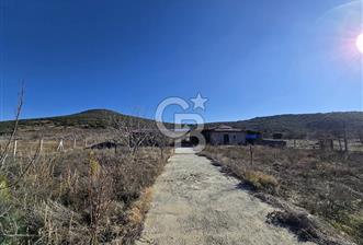 Tavas Gümüşdere de 1075 M² Müstakil Tel Örgü İle Çevrili Arazi