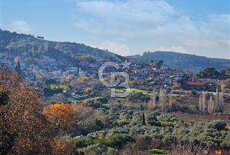 İzmir Selçuk Şirince Manzaralı Satılık Arazi