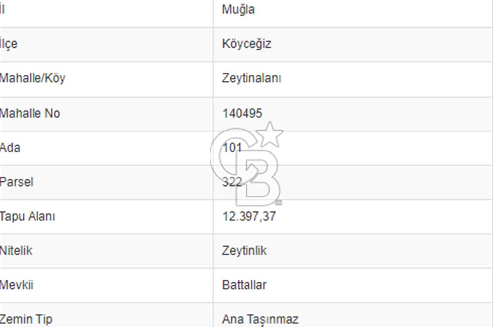Köyceğiz Zeytinalanın da Göl Manzaralı zeytinlik