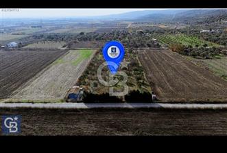 ALİAĞA HELVACIDA 5796 M2 ÇİFT YOLA CEPHE SATILIK TARLA