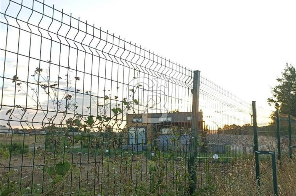 KIRKLARELİ VİZE KIZILAĞAÇDA TİNY HOUSE BÖLGESİNDE FIRSAT TARLA