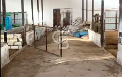 ÇİVRİL IRGILLI’DA SATILIK HEMEN FAALİYETE GEÇİRİLEBİLİR DONANIMLI BESİ ÇİFTLİĞİ