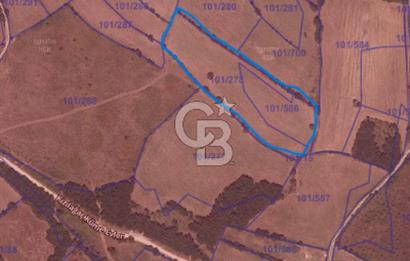 KIRKLARELİ VİZE KIZILAĞAÇDA TİNY HOUSE BÖLGESİNDE FIRSAT TARLA