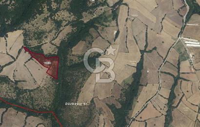 BALIKESİR GÖNEN DE 23.000 M² SATILIK TARLA