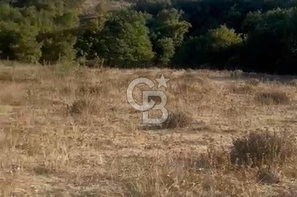 BALIKESİR GÖNEN DE 23.000 M² SATILIK TARLA