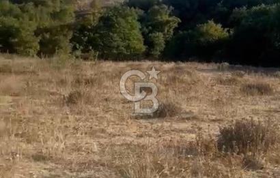 BALIKESİR GÖNEN DE 23.000 M² SATILIK TARLA