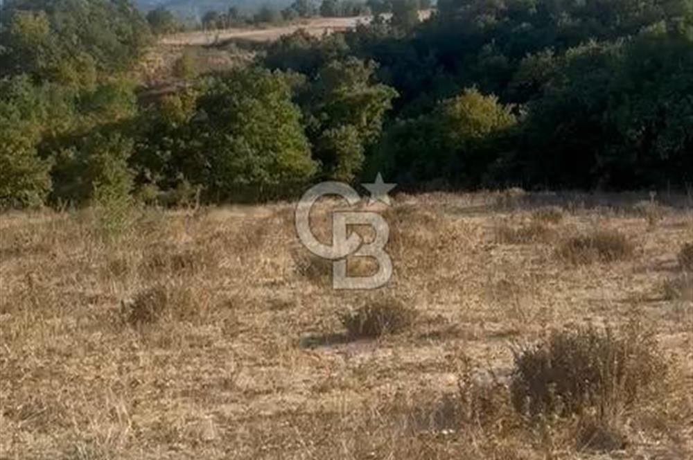 BALIKESİR GÖNEN DE 23.000 M² SATILIK TARLA