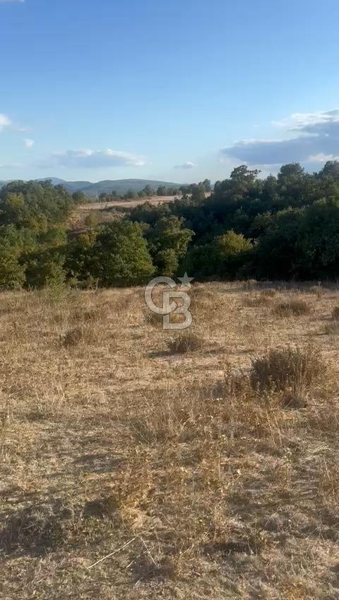 BALIKESİR GÖNEN DE 23.000 M² SATILIK TARLA