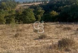 BALIKESİR GÖNEN DE 23.000 M² SATILIK TARLA - 1 - 250710