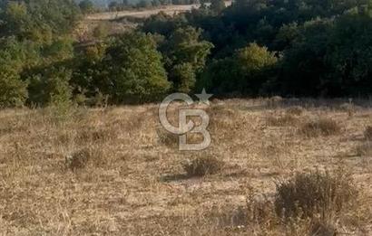 BALIKESİR GÖNEN DE 23.000 M² SATILIK TARLA