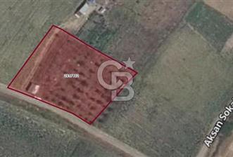 TEKİRDAĞ-SARAY MAHALLESİNDE 2404 m2 MUHTEŞEM MEYVE BAHÇESİ