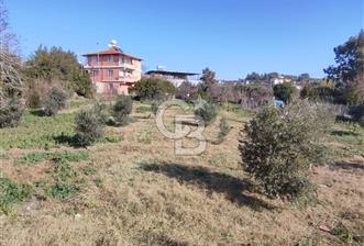 SATILIK ANA YOL'A İKİNCİ PARSEL