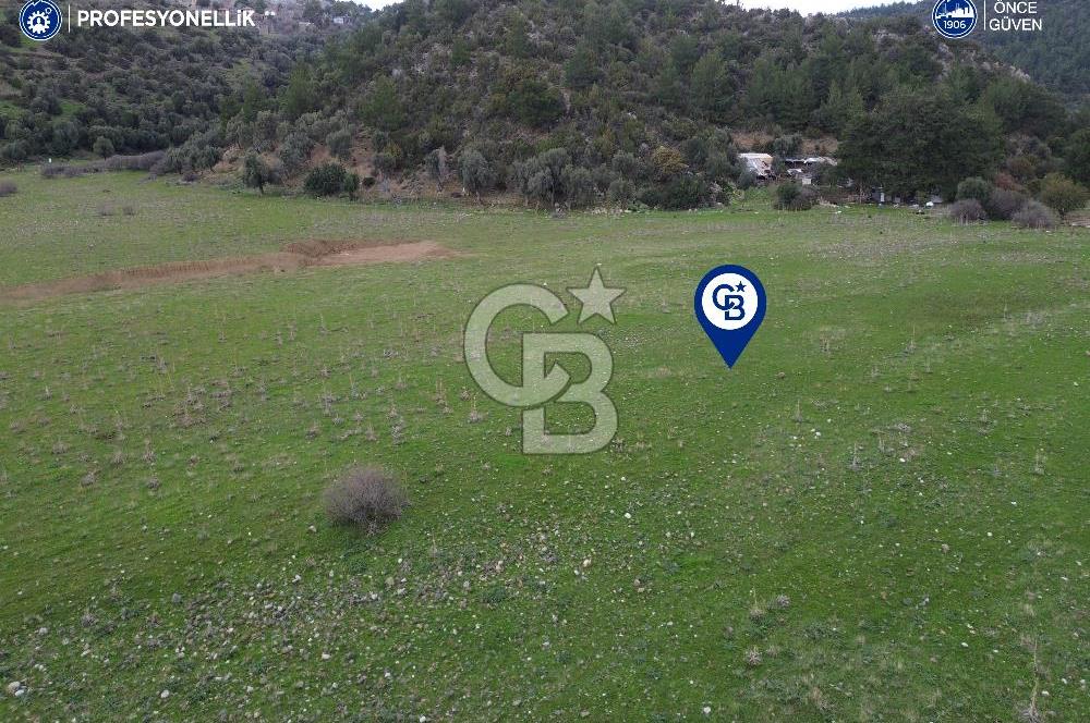 Karaburun Küçükbahçe'de Yerleşim Alanında 12.377 m2 Tarla