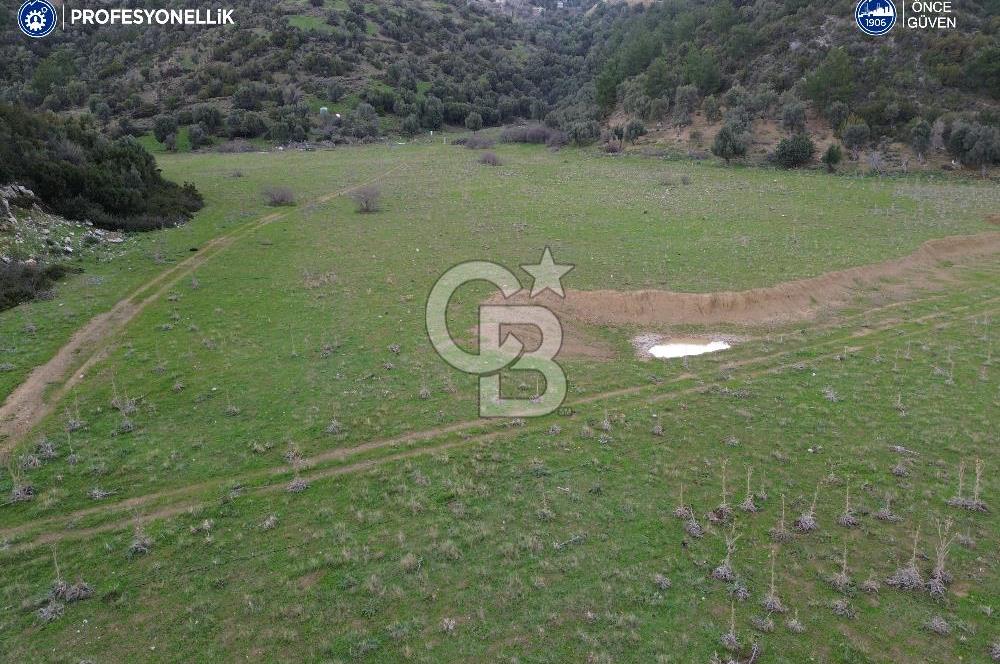 Karaburun Küçükbahçe'de Yerleşim Alanında 12.377 m2 Tarla