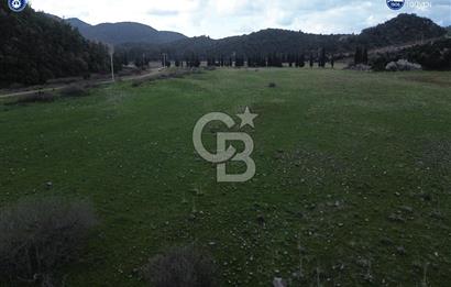 Karaburun Küçükbahçe'de Yerleşim Alanında 12.377 m2 Tarla