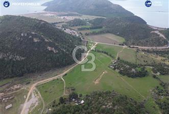 Karaburun Küçükbahçe'de Yerleşim Alanında 12.377 m2 Tarla