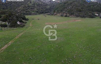 Karaburun Küçükbahçe'de Yerleşim Alanında 12.377 m2 Tarla