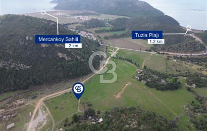 Karaburun Küçükbahçe'de Yerleşim Alanında 12.377 m2 Tarla