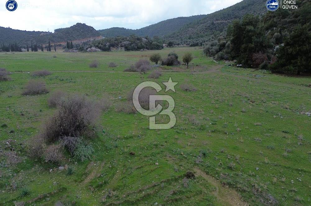 Karaburun Küçükbahçe'de Yerleşim Alanında 12.377 m2 Tarla