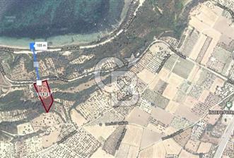 ÇANAKKALE İNTEPE'DE SATILIK 7.283 M2 ARSA