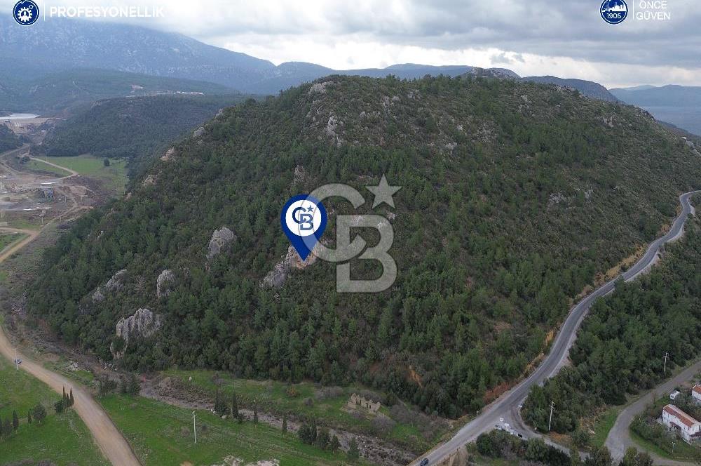 Karaburun Küçükbahçe'de Yerleşim Alanında 23.157 m2 Tarla